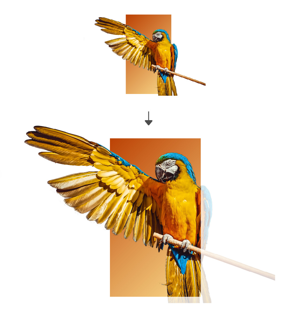 BoxBreakTutorial-Parrot-Rectangle-80