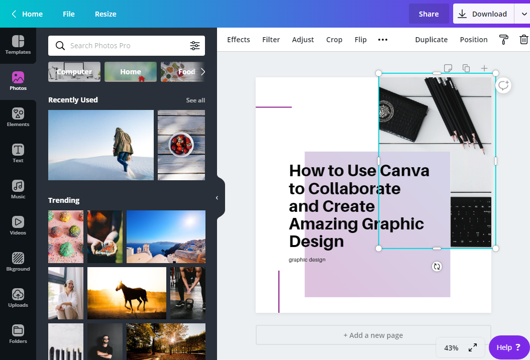 canva-images