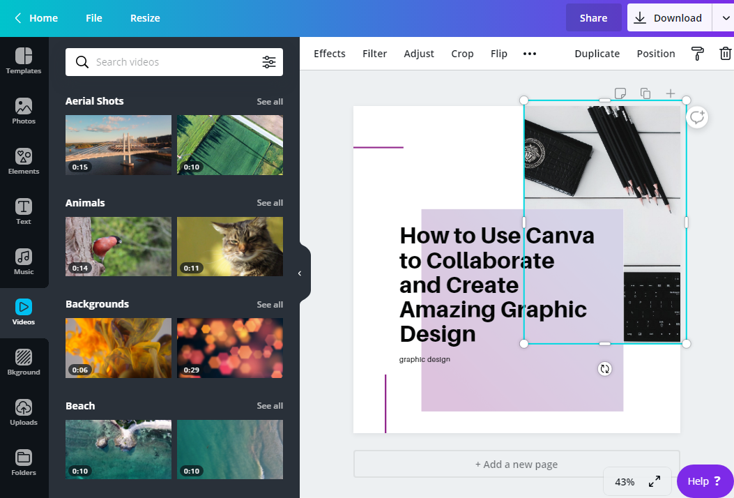 canva-videos